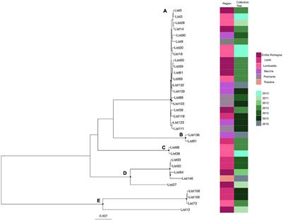 Phylogenetic and Evolutionary Genomic Analysis of Listeria monocytogenes Clinical Strains in the Framework of Foodborne Listeriosis Risk Assessment